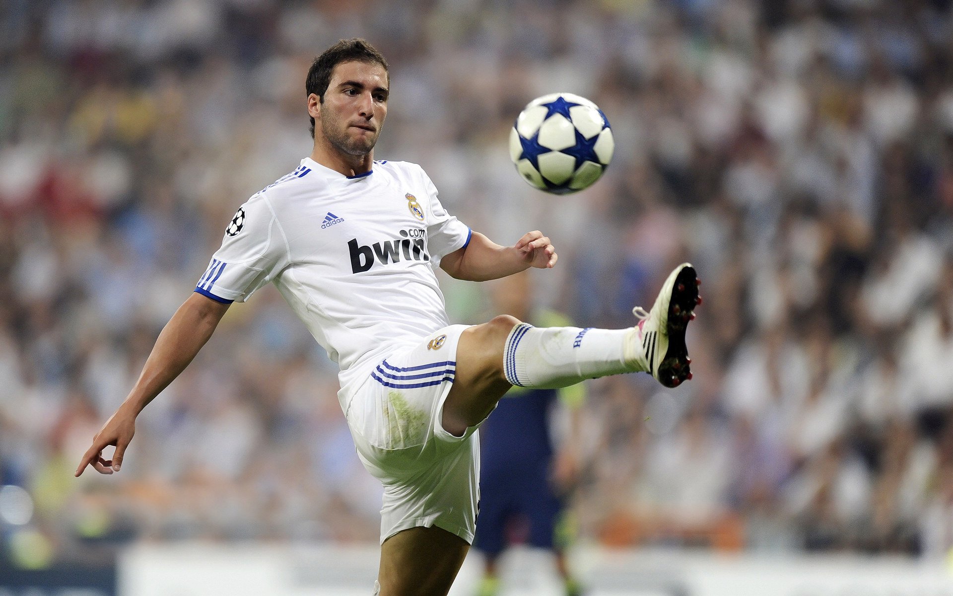 美洲杯夺冠夜：英雄辈出，成就传奇，美洲杯冠军视频