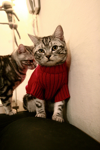 【经典对决】丁俊晖与奥沙利文多场战役精彩合集，丁俊晖vs奥沙利文谁赢了