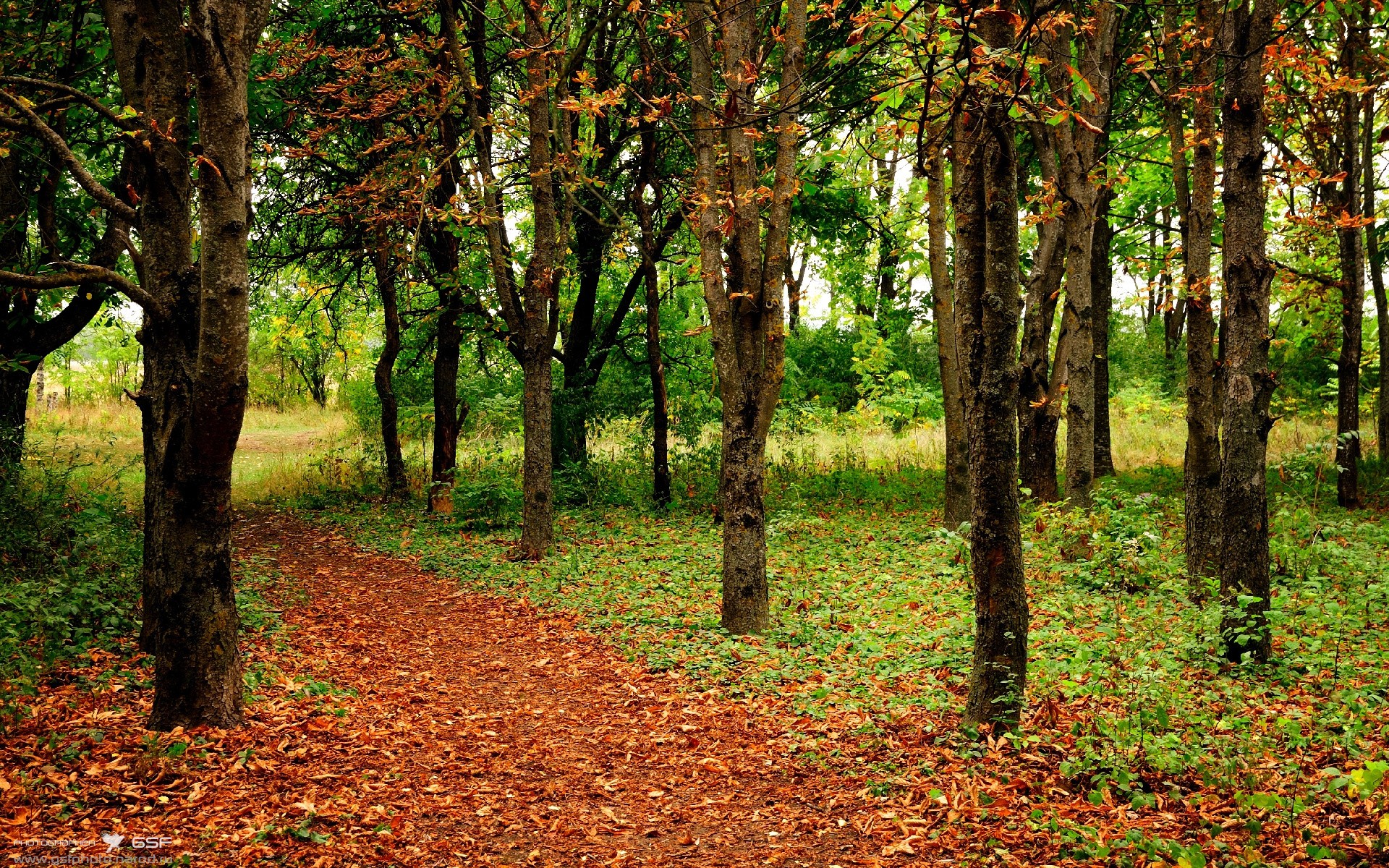 九游登录中心-史上最“爆炸”的逆转比赛都有哪些教科书级战役？，逆转获胜